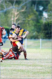 Brothers captain Luke Scott plays a crucial role in Ram's game. Brothers captain Luke Scott plays a crucial role in Ram's game.