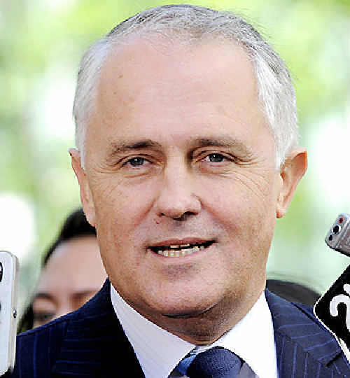 MALCOLM Turnbull has accused Andrew Bolt of bordering 'on the demented' after claiming a dinner with Clive Palmer was evidence of plans to overthrow Tony Abbott. MALCOLM Turnbull has accused Andrew Bolt of bordering 'on the demented' after claiming a dinner with Clive Palmer was evidence of plans to overthrow Tony Abbott.