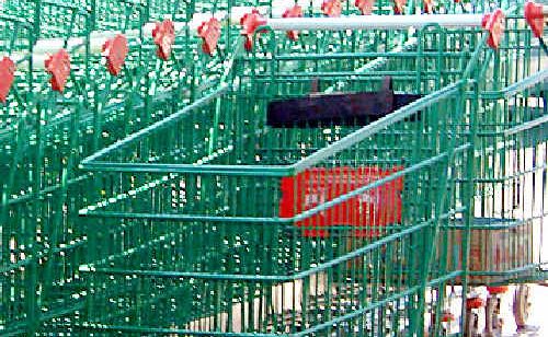 Which branded item are you most likely to put in your shopping trolley? According to a Reader's Digest poll, it may be Dettol. Which branded item are you most likely to put in your shopping trolley? According to a Reader's Digest poll, it may be Dettol.