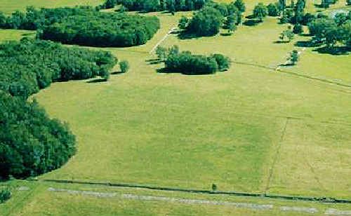 No way: An environmental group is hoping a published report will stop rock festivals from returning to the Parklands site (above) in Yelgun. No way: An environmental group is hoping a published report will stop rock festivals from returning to the Parklands site (above) in Yelgun.