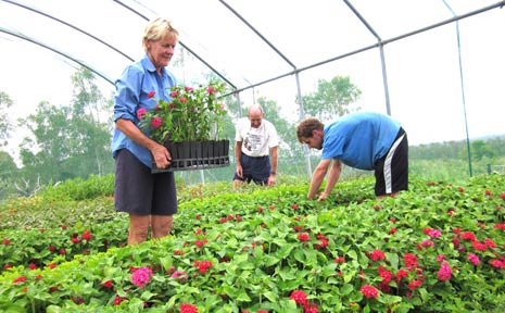 Delphine and Ray Archer and Nathan Vogler get the plants ready for the open day. Delphine and Ray Archer and Nathan Vogler get the plants ready for the open day.