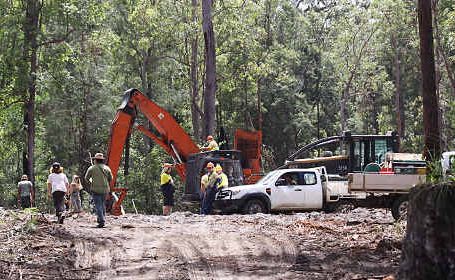 NEFA activists inspecting the logging site at Doubleduke State Forest last Friday. NEFA activists inspecting the logging site at Doubleduke State Forest last Friday.