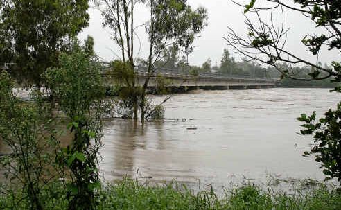 Water was nearly lapping the bottom of the Les Baker Bridge at Gayndah yesterday morning and was still rising. Water was nearly lapping the bottom of the Les Baker Bridge at Gayndah yesterday morning and was still rising.