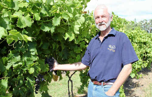 Bungawarra Winery owner Jeff Harden is among seven Granite Belt wineries to donate to the huge flood relief wine raffle. Bungawarra Winery owner Jeff Harden is among seven Granite Belt wineries to donate to the huge flood relief wine raffle.