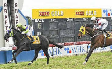 Paul Hammersley rides Warrior Within past the post to win the 2011 Wykes Tyrepower Grafton Cup. Photo: JoJo Newby/The Daily Examiner Paul Hammersley rides Warrior Within past the post to win the 2011 Wykes Tyrepower Grafton Cup. Photo: JoJo Newby/The Daily Examiner