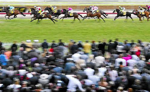 The 2011 Grafton Cup field passes the healthy crowd on the first lap of the 2,350 metre event. The 2011 Grafton Cup field passes the healthy crowd on the first lap of the 2,350 metre event.