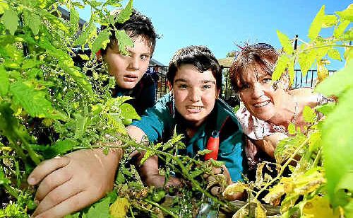 GREEN COMMUNITY: Luke Miller, Corey Heron and Janelle Staggard get their hands dirty. GREEN COMMUNITY: Luke Miller, Corey Heron and Janelle Staggard get their hands dirty.