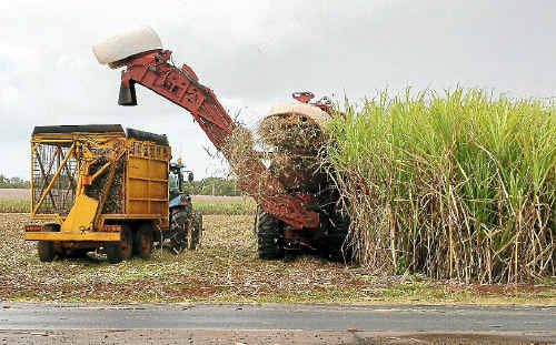 Bundaberg Sugar workers are threatening to take industrial action next week. Bundaberg Sugar workers are threatening to take industrial action next week.