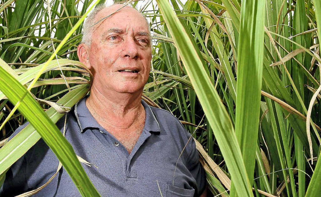Canefarmers’ chairman Robert Quirk at his Stotts Creek farm. He is confident of greener times ahead despite a poor crop this year. Canefarmers’ chairman Robert Quirk at his Stotts Creek farm. He is confident of greener times ahead despite a poor crop this year.