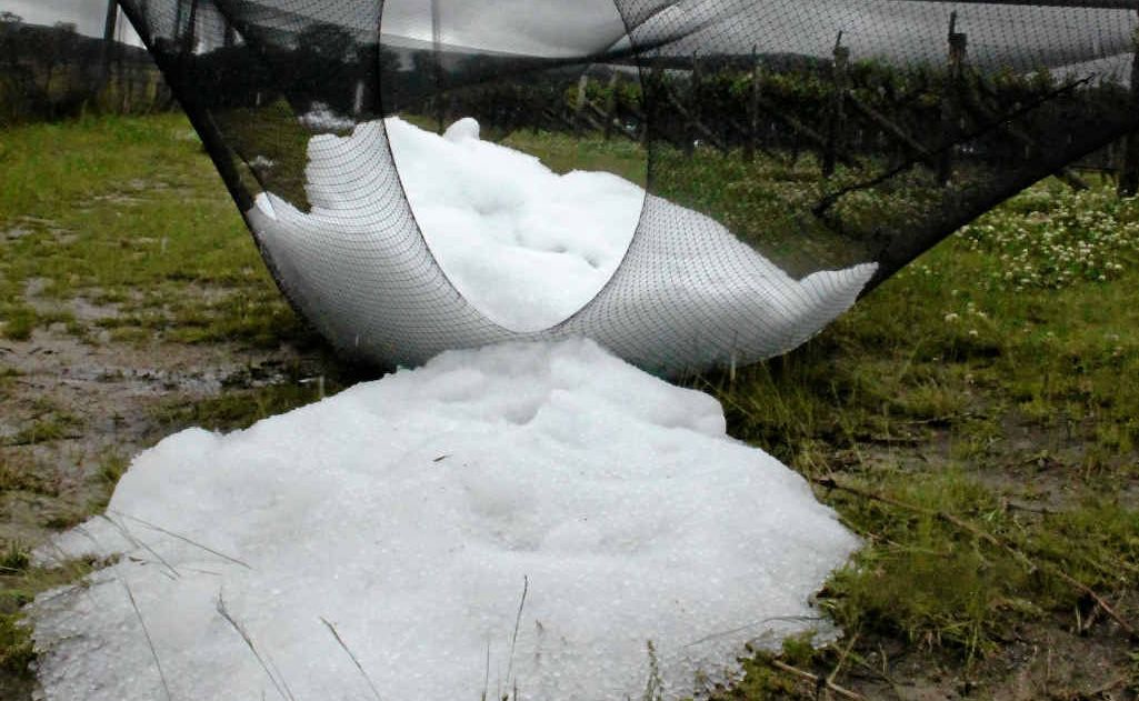 Destructive hail bucketed down at the vineyard Robert Channon Wines on Wednesday night. Destructive hail bucketed down at the vineyard Robert Channon Wines on Wednesday night.