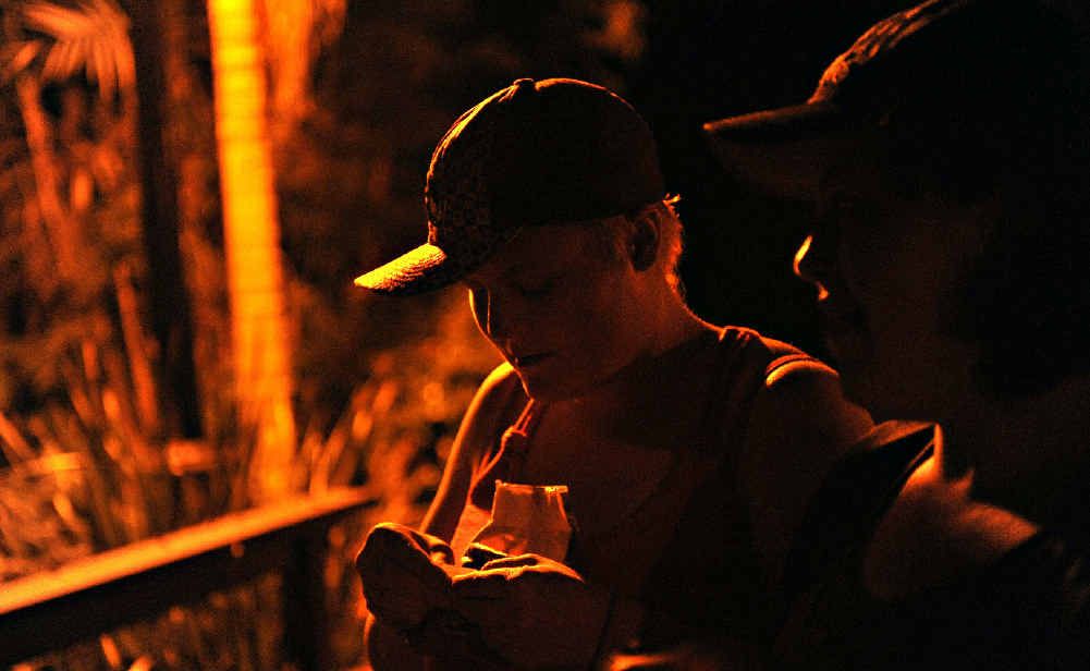 Bundaberg YMCA will seek to extend its partnership agreement with Drug Arm. Bundaberg YMCA will seek to extend its partnership agreement with Drug Arm.