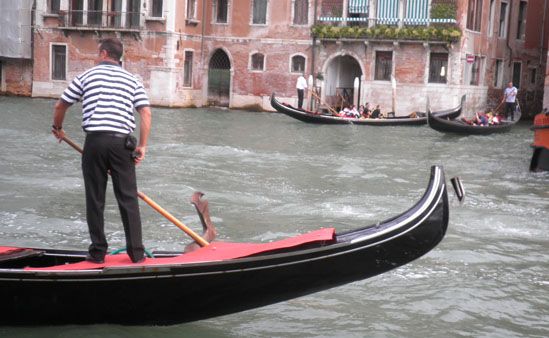 It's an exaggeration to say all Italians have something to hide. But equally, it's safe to assume many of the 15 million who claimed a net income of zero last year, do live in fear of a knock on the door. It's an exaggeration to say all Italians have something to hide. But equally, it's safe to assume many of the 15 million who claimed a net income of zero last year, do live in fear of a knock on the door.