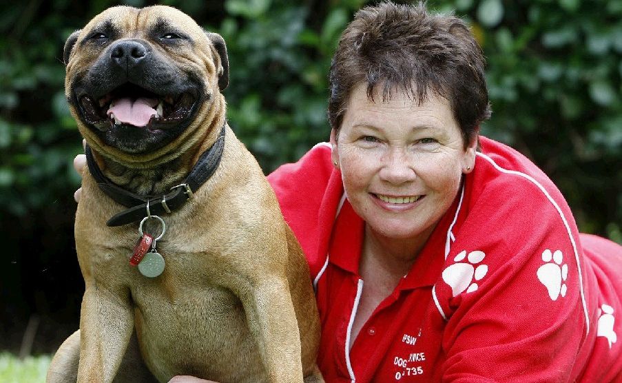 Ipswich Pet Minding Service founder Deb Taylor with Jasper, the staffy. Ipswich Pet Minding Service founder Deb Taylor with Jasper, the staffy.