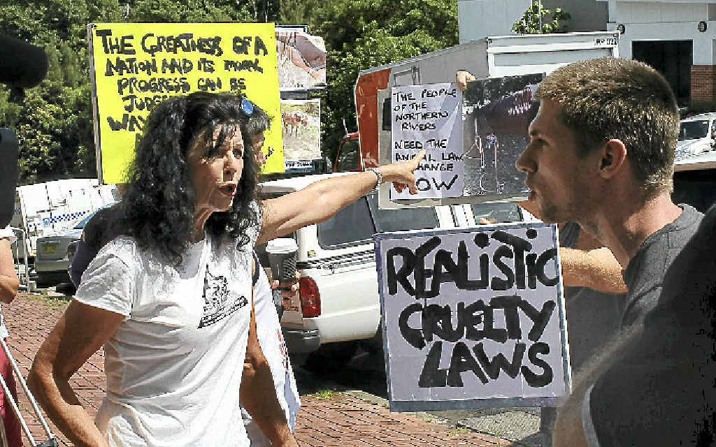 Barbara Steffensen from the Animal Rights & Rescue Group trades heated words with a friend of the accused outside Lismore Courthouse on Monday. Barbara Steffensen from the Animal Rights & Rescue Group trades heated words with a friend of the accused outside Lismore Courthouse on Monday.