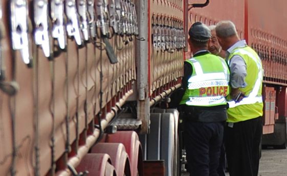 Police raid Lennons Transport Services and find false entries in logbooks and speed limiter tampering. Police raid Lennons Transport Services and find false entries in logbooks and speed limiter tampering.