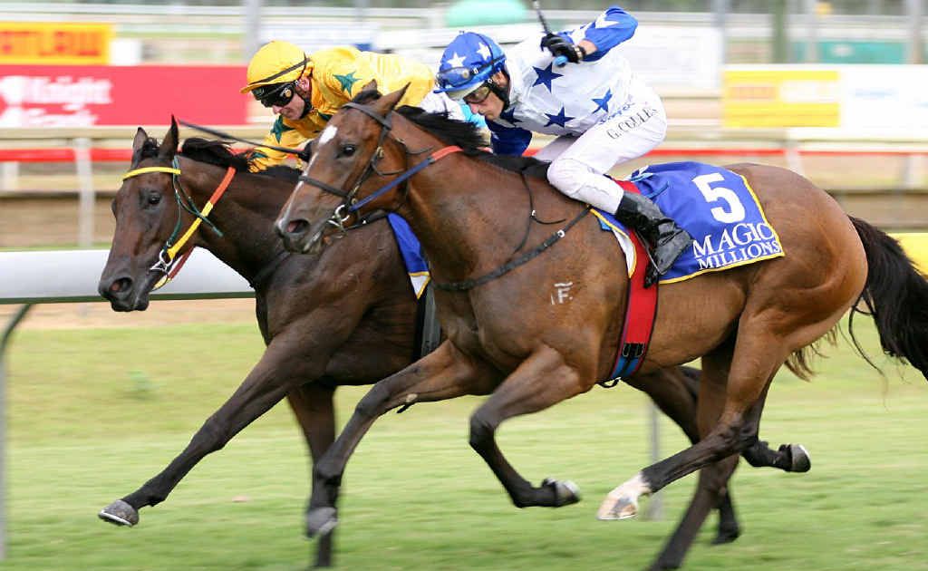 Scott Galloway on the Gympie-trained Mafia Princess just a nose in front of Snipzu in the Magic Millions at Callaghan Park, Rockhampton. Scott Galloway on the Gympie-trained Mafia Princess just a nose in front of Snipzu in the Magic Millions at Callaghan Park, Rockhampton.
