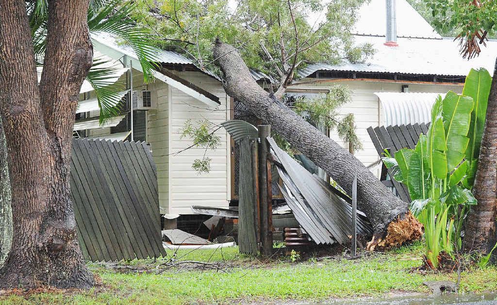 This tree fell on Steve Walker’s house on Iindah Rd, Tinana, hitting his bedroom. This tree fell on Steve Walker’s house on Iindah Rd, Tinana, hitting his bedroom.