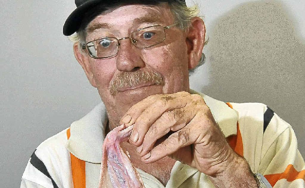 Gus Campbell got a shock after he discovered tumours on a frozen chicken he was about to cook. Gus Campbell got a shock after he discovered tumours on a frozen chicken he was about to cook.