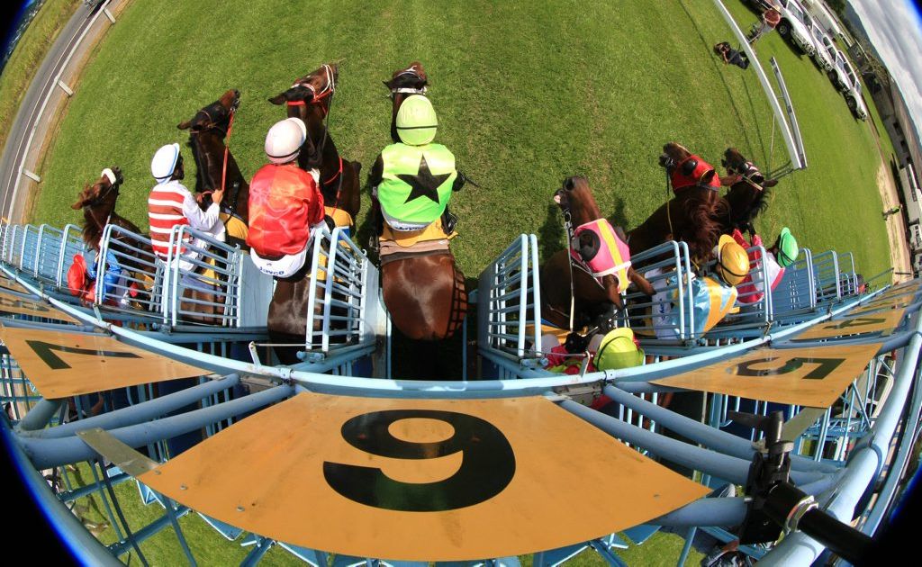 Mr Dickson said the Texas Jockey Club would host the race meeting on March 16 next year. Mr Dickson said the Texas Jockey Club would host the race meeting on March 16 next year.