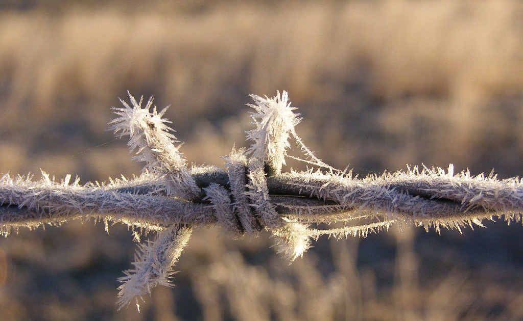 Jack Frost is on his way with well below average temperatures this week hitting parts of the Southern Downs. Jack Frost is on his way with well below average temperatures this week hitting parts of the Southern Downs.