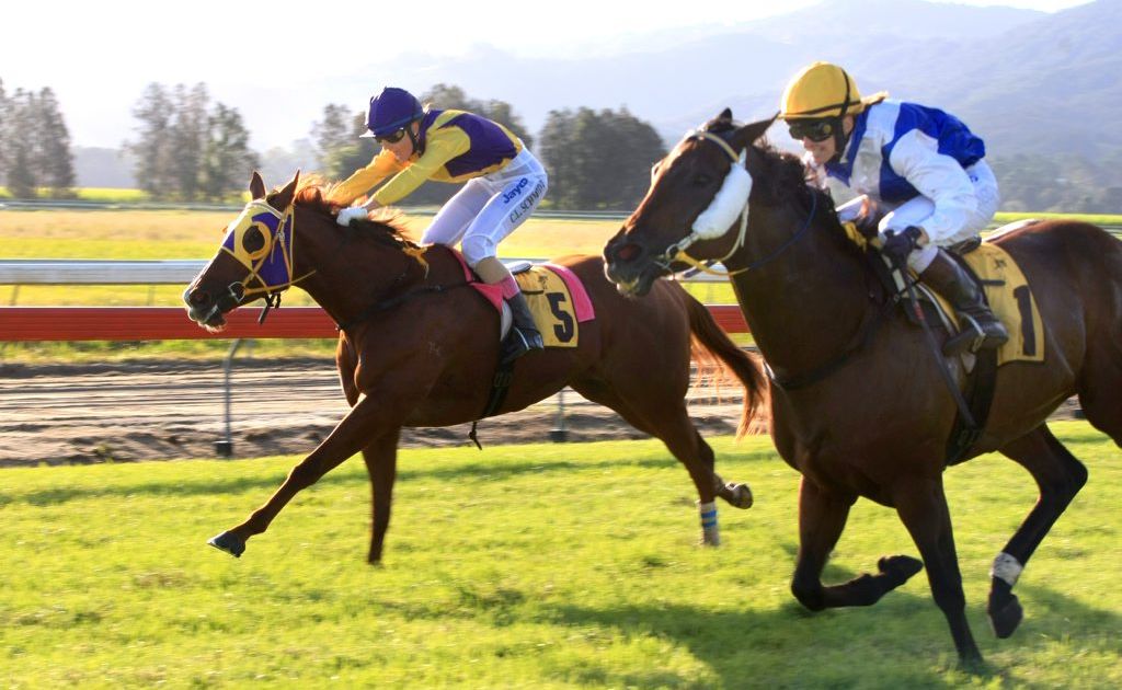Isajay (5) and Danewin Girl (1) in race 6 at Murwillumbah Races last year. Isajay (5) and Danewin Girl (1) in race 6 at Murwillumbah Races last year.