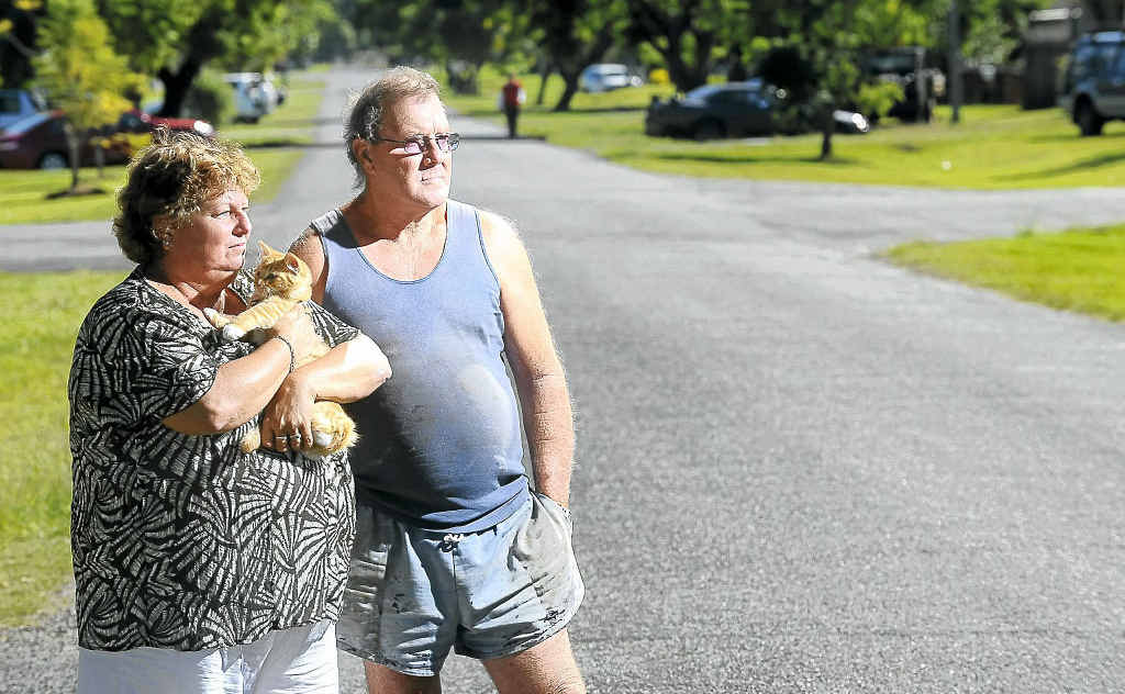 Betty and Des Robertson with their cat "K-fa." Their dog was one of three animals killed yesterday. Betty and Des Robertson with their cat "K-fa." Their dog was one of three animals killed yesterday.