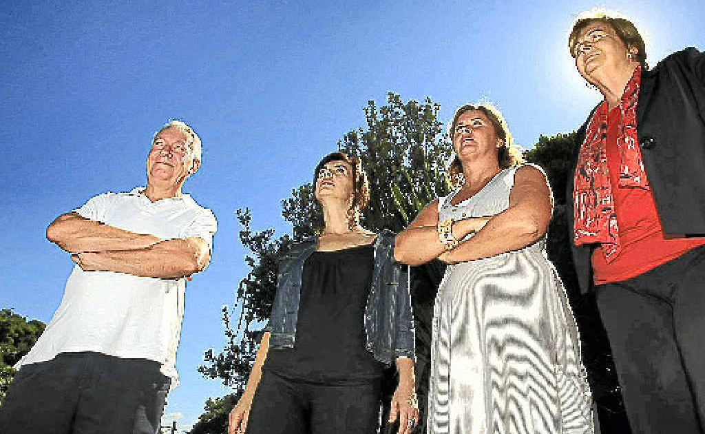 Fingal residents Paul Fagan, Dawn Walker, Karen Morrison and Helen Twohill are annoyed about flight noise. Fingal residents Paul Fagan, Dawn Walker, Karen Morrison and Helen Twohill are annoyed about flight noise.