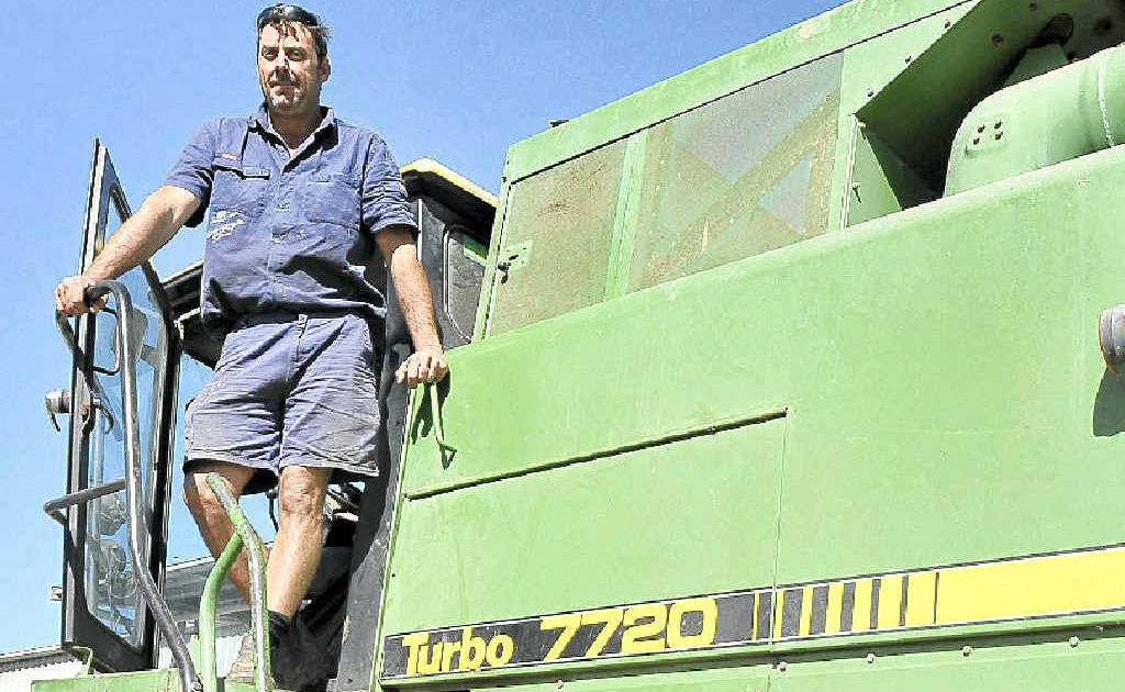 Rice-harvesting operator Allan Anderson at the 75-hectare OzRice farm at Woodburn. Rice-harvesting operator Allan Anderson at the 75-hectare OzRice farm at Woodburn.