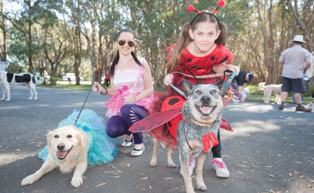 RSPCA Million Paws Walk, Coffs Harbour. RSPCA Million Paws Walk, Coffs Harbour.