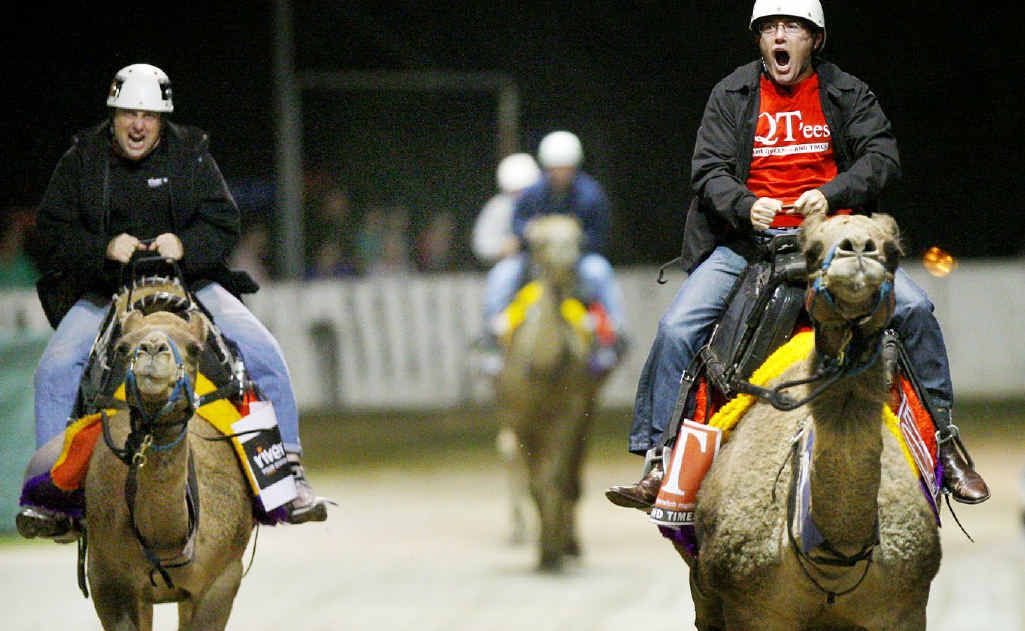 QT general manager Steve Portas wins the first heat of the camel race at the Ipswich Show, closely followed by Daniel Thomas (aka DT) of River 94.9. QT general manager Steve Portas wins the first heat of the camel race at the Ipswich Show, closely followed by Daniel Thomas (aka DT) of River 94.9.