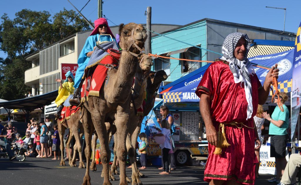 DESERT SHIPS: It's not often Oak Street, Evans Head sees camels travelling down the road. Photo Samantha Elley / Rivertown Times DESERT SHIPS: It's not often Oak Street, Evans Head sees camels travelling down the road. Photo Samantha Elley / Rivertown Times
