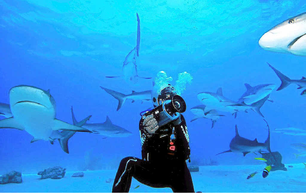 NO FEAR: Madison Stewart likes nothing better than to dive with sharks, and sees their destruction as a huge threat to the marine environment. NO FEAR: Madison Stewart likes nothing better than to dive with sharks, and sees their destruction as a huge threat to the marine environment.