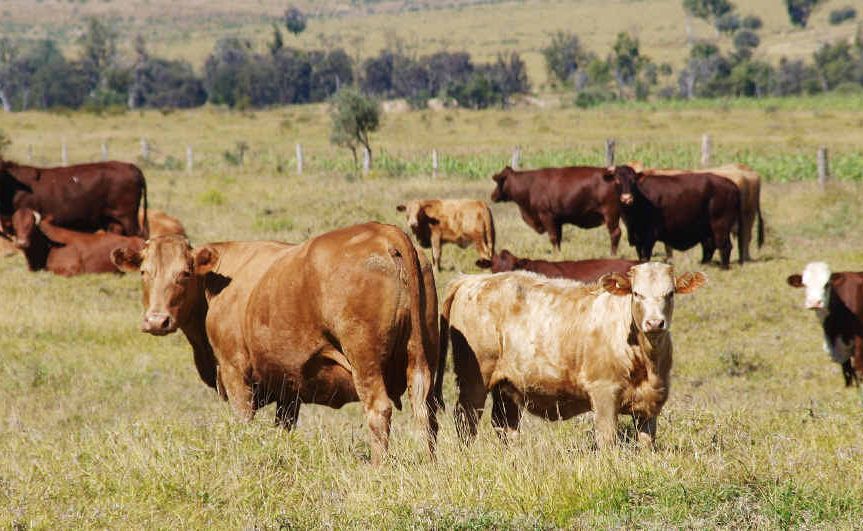 From Dysart to Springsure, more farmers are selling up to the mines. Photo: Courtesy of Ray White Emerald From Dysart to Springsure, more farmers are selling up to the mines. Photo: Courtesy of Ray White Emerald