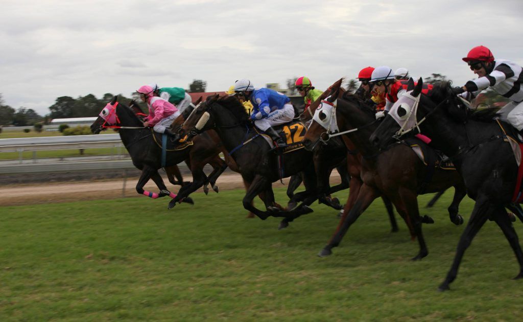 CRJC Grafton: Race 3 - The start of race 3 - they're off. Photo Lynne Mowbray / Daily Examiner CRJC Grafton: Race 3 - The start of race 3 - they're off. Photo Lynne Mowbray / Daily Examiner