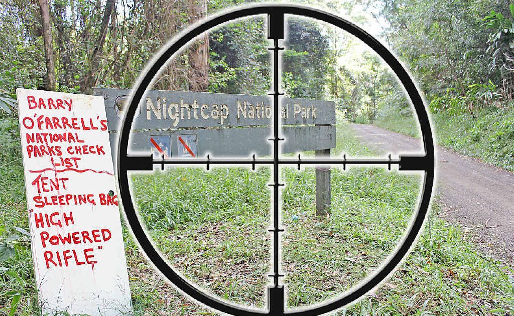 HUNTING HAVEN: In the line of fire – Nightcap National Park. HUNTING HAVEN: In the line of fire – Nightcap National Park.