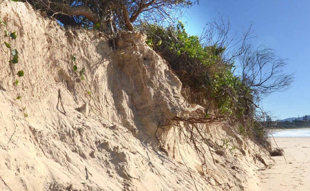 Sawtell Beach has been left worse for wear. Sawtell Beach has been left worse for wear.