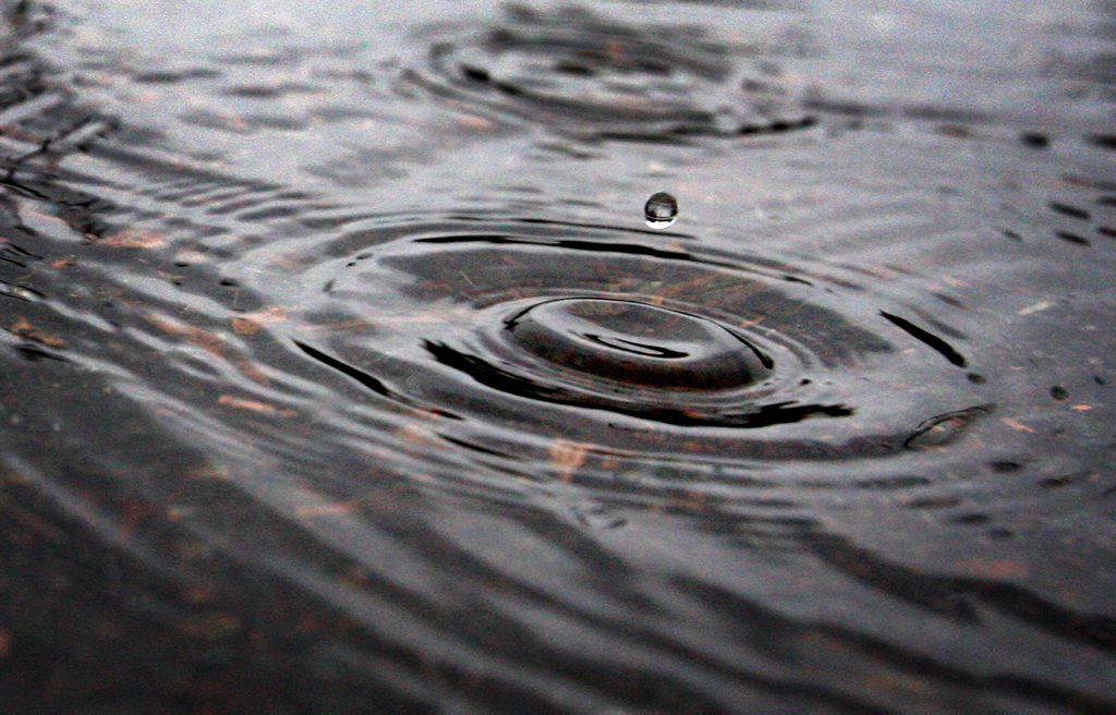 More rain expected for the Tweed. More rain expected for the Tweed.
