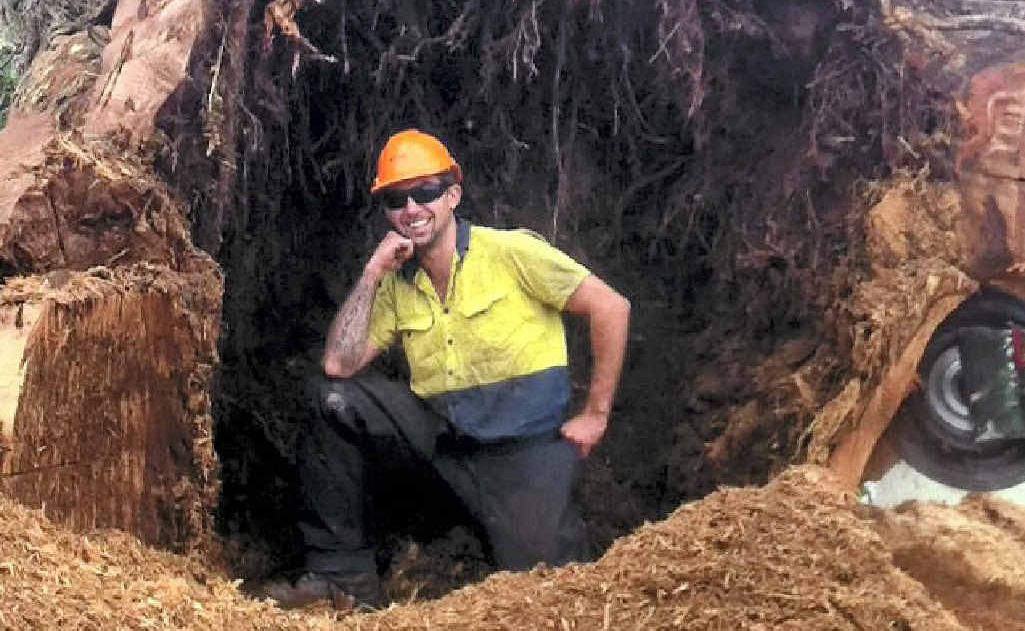 Fuller Brendan inside the felled fig tree. Fuller Brendan inside the felled fig tree.