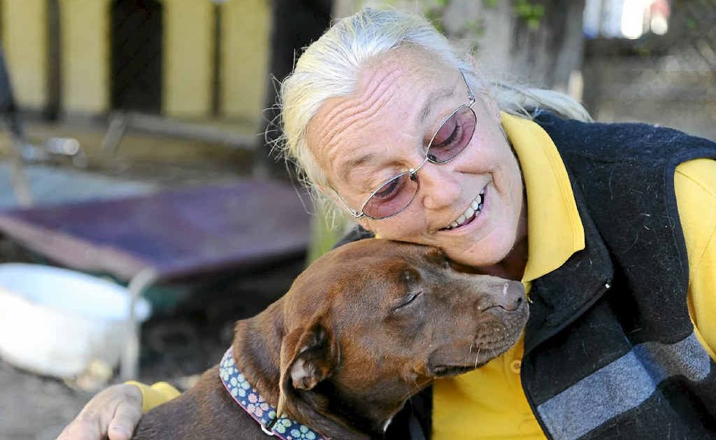 Sally Rogers, of Happy Paws Haven at Eatonsville, with some of the many dogs in her care. Sally Rogers, of Happy Paws Haven at Eatonsville, with some of the many dogs in her care.