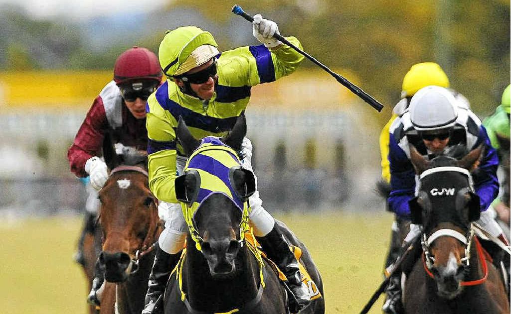 Winner of the 2011 Grafton Cup, No 8, Warrior Within, with jockey Paul Hammersly (purple and green). Winner of the 2011 Grafton Cup, No 8, Warrior Within, with jockey Paul Hammersly (purple and green).