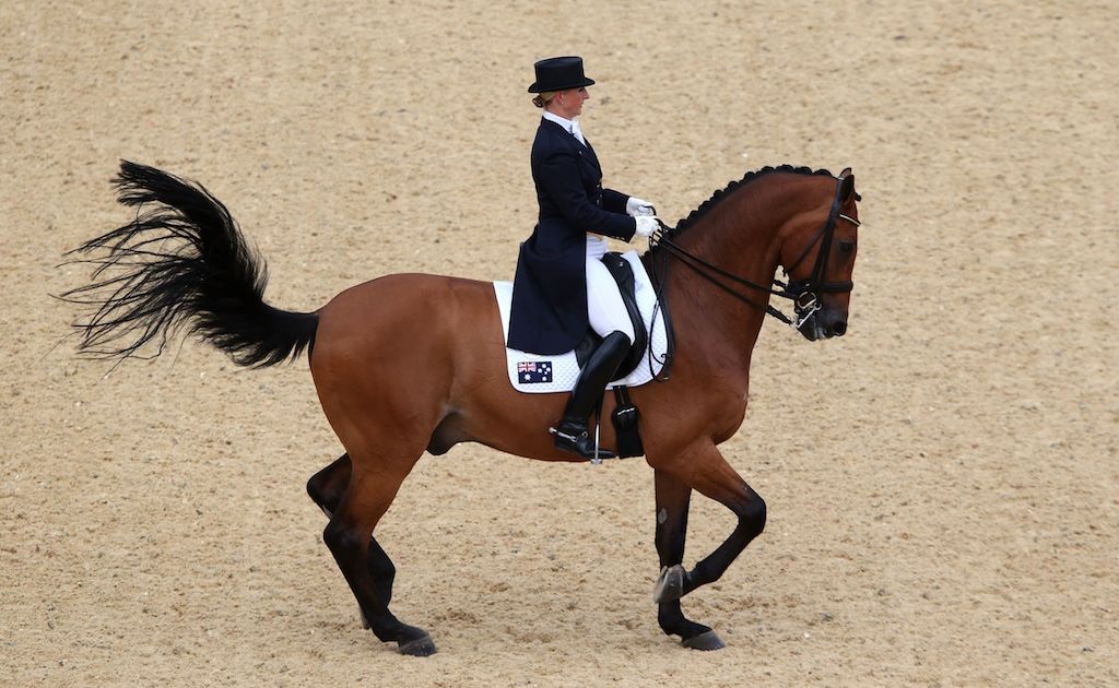 The Australian dressage team has failed to progress at the London Olympics. The Australian dressage team has failed to progress at the London Olympics.