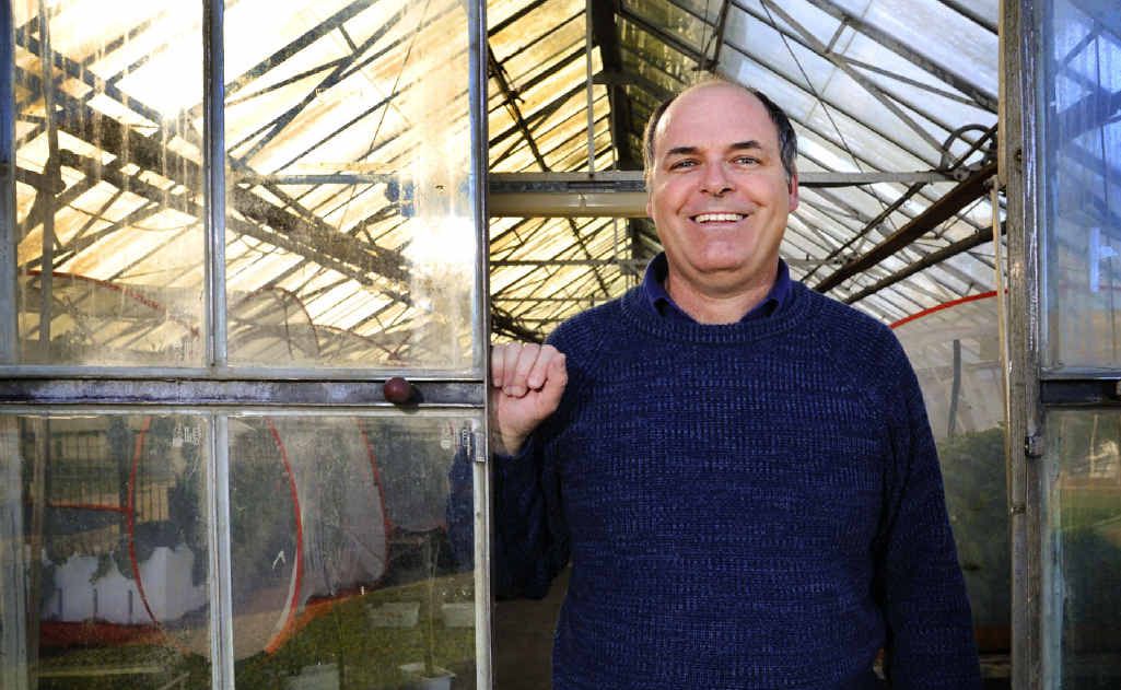 State Aquatic Weed co-ordinator Charlie Mifsud in one of the glass houses at the Grafton Primary Industries Institute where research is conducted into various species of weeds. Charlie is one of the guest speakers at next Wednesday’s Weed Expo at the Grafton Showground. State Aquatic Weed co-ordinator Charlie Mifsud in one of the glass houses at the Grafton Primary Industries Institute where research is conducted into various species of weeds. Charlie is one of the guest speakers at next Wednesday’s Weed Expo at the Grafton Showground.