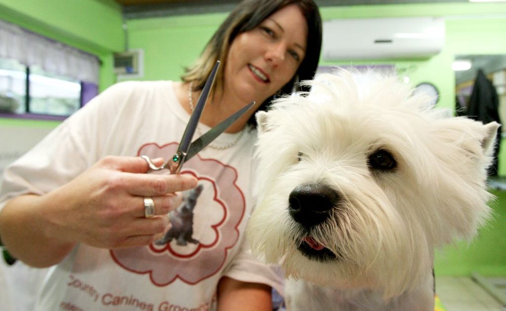 Vanessa Parsons with "Hamish" the Westfield Terrier. Vanessa Parsons with "Hamish" the Westfield Terrier.