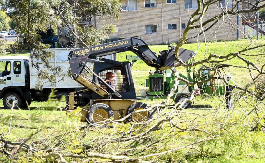 A Bobcat clears trees for Grafton’s Community Garden in Queen Street. A Bobcat clears trees for Grafton’s Community Garden in Queen Street.