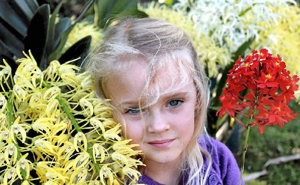 BLOOMING LOVELY: Maddison Elle McDougall with some of this year’s orchids. BLOOMING LOVELY: Maddison Elle McDougall with some of this year’s orchids.