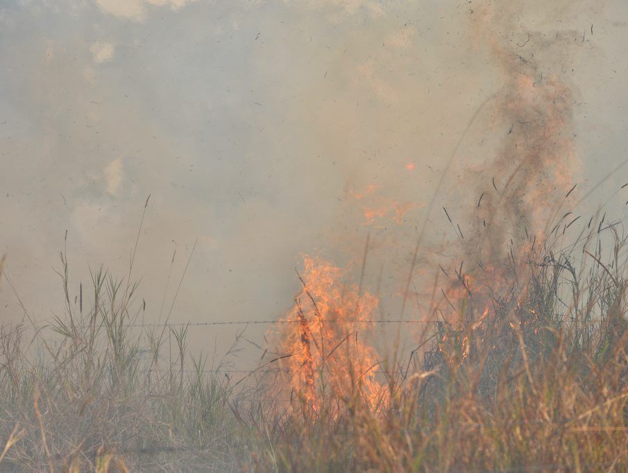 Bush fire at Murdering Creek Road, Peregian. Bush fire at Murdering Creek Road, Peregian.