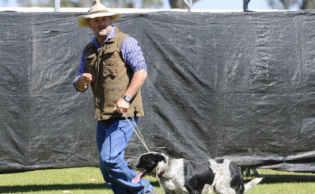 Mitch Davis and Rango after competing in the dog trials at Maclean on Saturday. Mitch Davis and Rango after competing in the dog trials at Maclean on Saturday.
