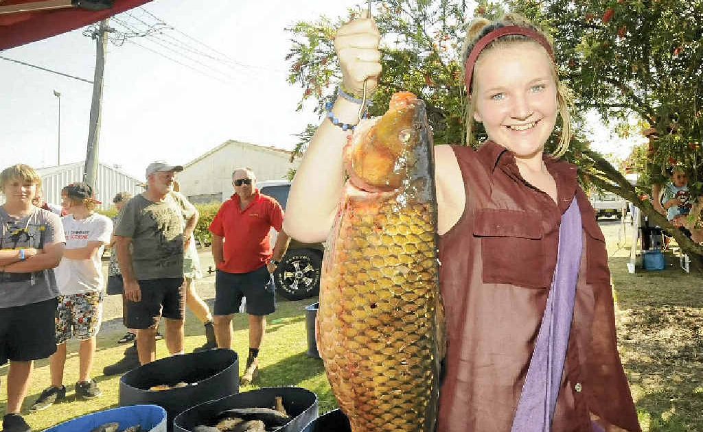 Winner of the junior section, 14-year-old Jamie Hancock of Evans Head with her 5.09kg carp. Winner of the junior section, 14-year-old Jamie Hancock of Evans Head with her 5.09kg carp.