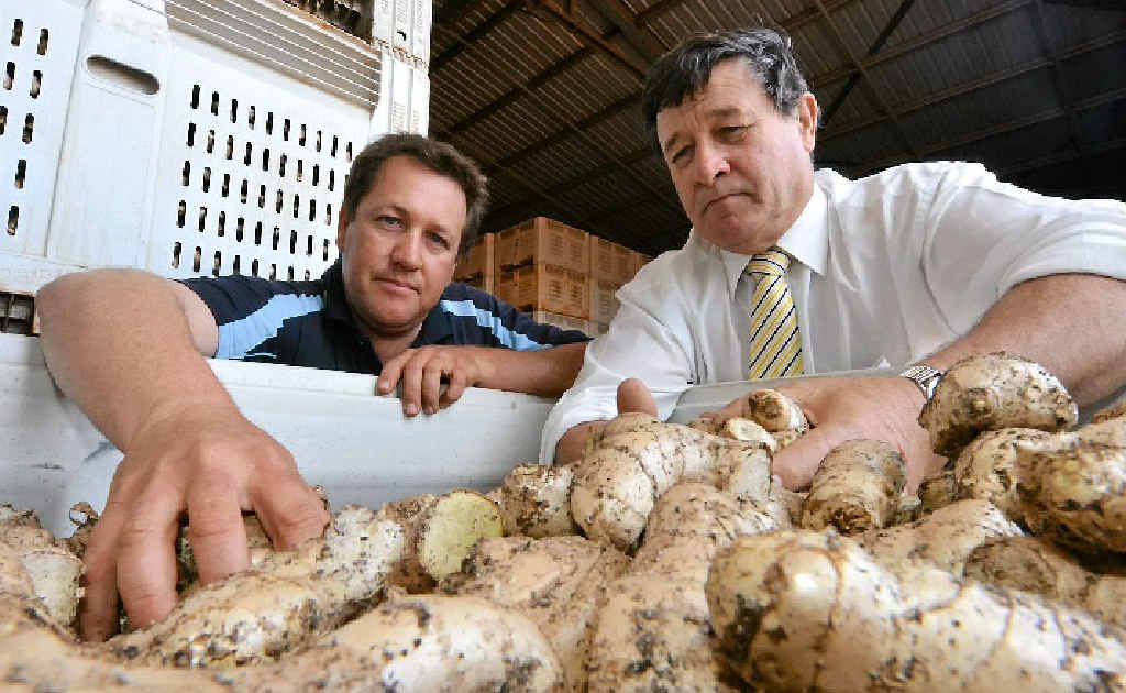 Australian Ginger Industry Association chairman Anthony Rehbein talks with Opposition agriculture and food security spokesman John Cobb. Australian Ginger Industry Association chairman Anthony Rehbein talks with Opposition agriculture and food security spokesman John Cobb.