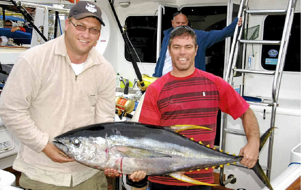 This 35kg yellowfin was caught out in 1600 fathoms by the crew of Black N Blue. Photo: Contributed This 35kg yellowfin was caught out in 1600 fathoms by the crew of Black N Blue. Photo: Contributed